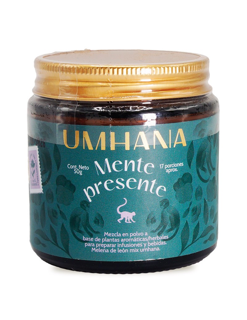 Mezcla Mente Presente...