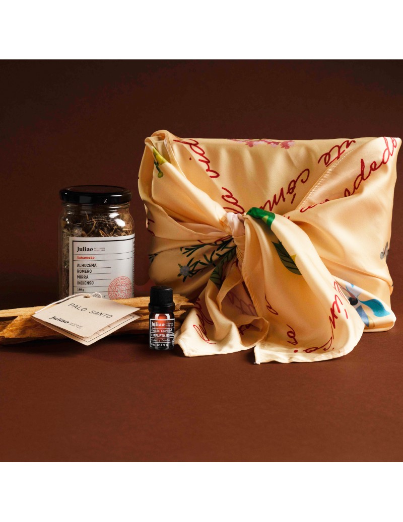 Kit Renueva Energía