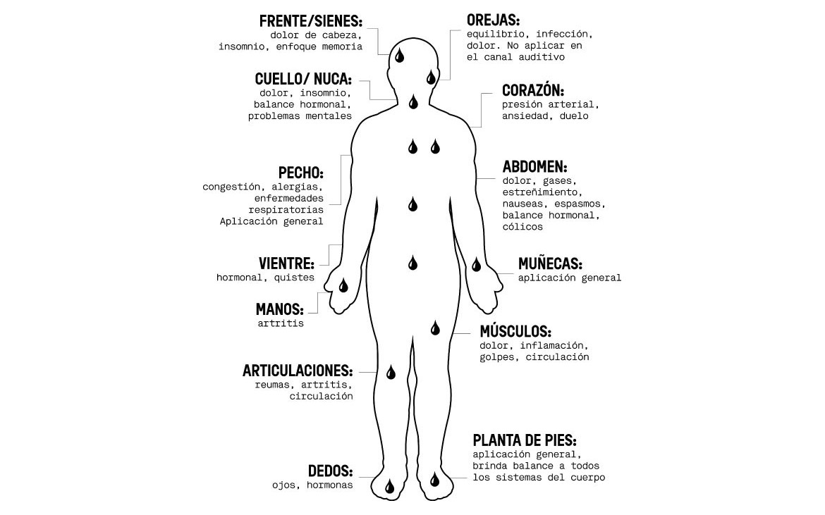 DISFRUTA DEL PODER DE LA AROMATERAPIA EN TODAS PARTES